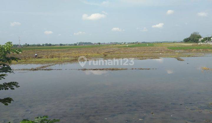 Tanah Untuk Bangun Ruang Usaha Atau Gudang Pinggir Jalan Pantura Pemalang 1