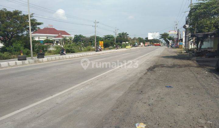 Tanah Untuk Bangun Ruang Usaha Atau Gudang Pinggir Jalan Pantura Pemalang 2