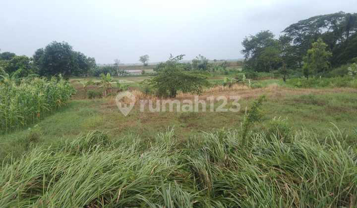 Tanah untuk Perumahan Strategis Pinggir Jalan Raya Parakan Tirtamulya Karawang