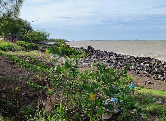 Tanah Strategis Untuk Tambak dan Galangan Kapal Nempel Laut Patrol Indramayu 1