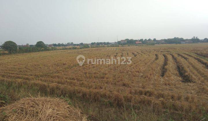 Tanah Untuk Bangun Perumahan Atau Kandang Dan Gudang Pinggirjalan Tanggul Dekat Haurgeulis 2