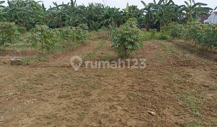 Tanah Kavling Strategis Pinggir Jalan dekat Jalan Gabus Raya Tambun Utara