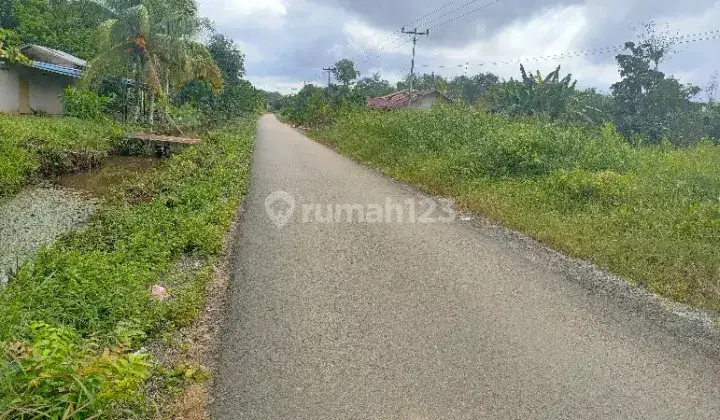 Tanah Untuk Kebun Dan Indiustri Strategis Dekat Jalan Trans Kalimantan 1