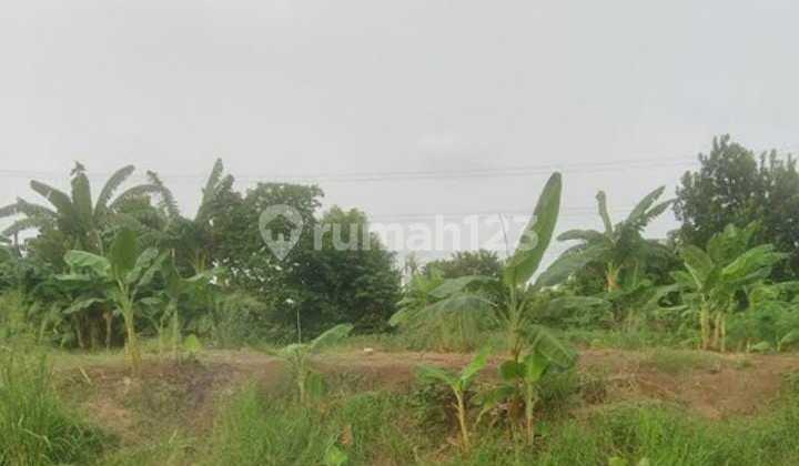 Tanah Untuk Perumahan Atau Gudang Pinggir Jalan Kali CBL Desa Sukamekar Sukawangi