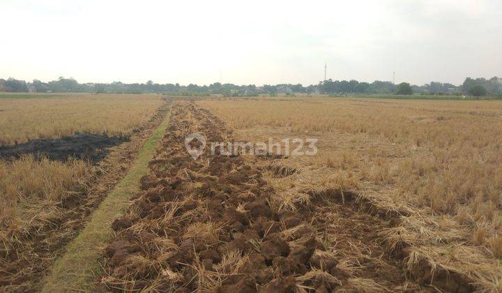 Tanah Kavling Strategis Pinggir Jalan Dekat Stasiun Haurgeulis Indramayu