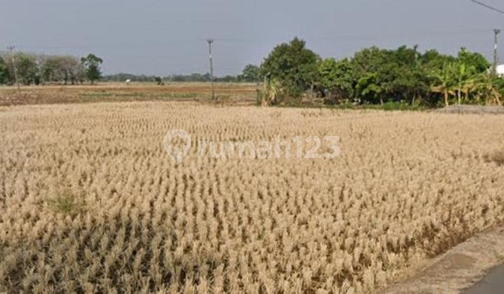 Tanah untuk Usaha atau Gudang Pinggir Jalan Gabuswetan Rancahan