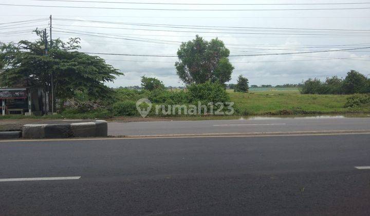Tanah Peruntukan Usaha dan Gudang Pinggir Jalan Raya Pantura Lohbener 1