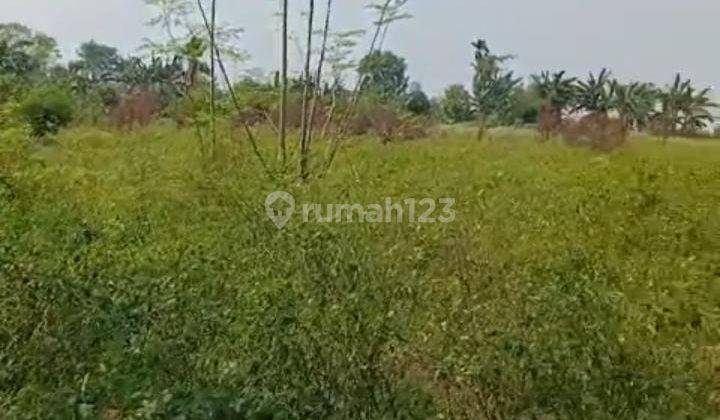 Tanah Untuk Bangun Cluster Atau Usaha Serta Gudang Pinggir Jalan Raya Dekat Gerbang Tol Gabus Tambun Utara 1