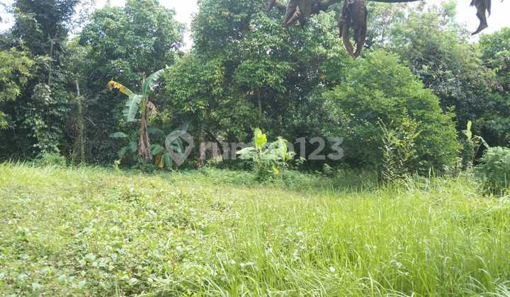 Tanah Strategis Untuk Industri Dan Gudang Pinggir Jalan Raya Purwadadi Dan Dekat Gerbang Tol