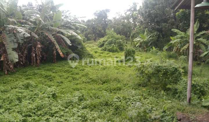 Land for Business and Warehouses as well as Office Houses by the Pantura Road in Pusakanagara Land for Business and Warehouses as well as Office Houses by the Pantura Road in Pusakanagara