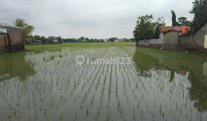 Tanah Sawah Untuk Usaha Atau Gudang Pinggir Jalan Pantura Lohbener 1