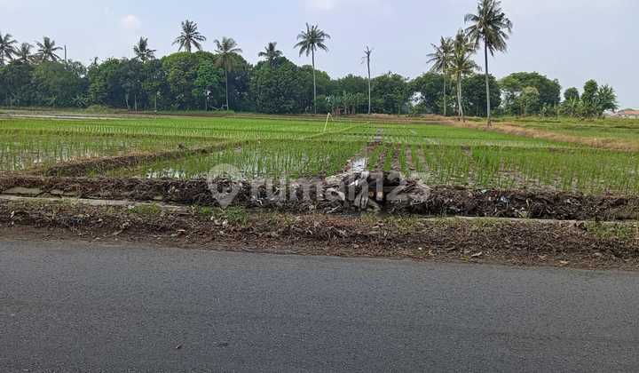 Land for Warehouses and Housing by Palabuan Road, Subang City
