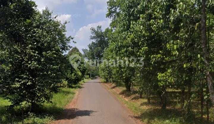 Industrial Land Near Purwadadi Main Road and Kalijati Toll Gate, Subang