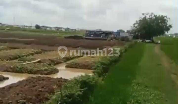Tanah Untuk Perumahan Pinggir Jalan Raya Jagawana Dekat Cikarang Utara