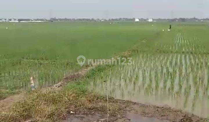 Tanah Untuk Bangun Perumahan Atau Gudang Pinggir Jalan Sarimukti Dekat Gerbang Tol Gabus 2