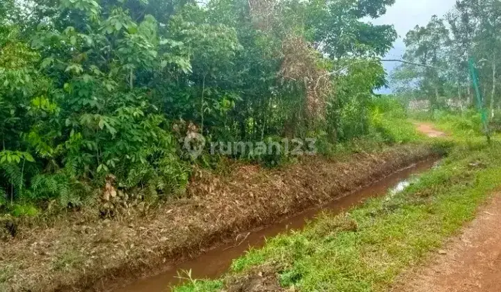 Tanah Untuk Kebun Dan Indiustri Strategis Dekat Jalan Trans Kalimantan 2