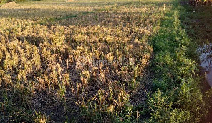 Tanah Untuk Ruang Usaha Pinggir Jalan Raya Gabuswetan Karangsinom 1