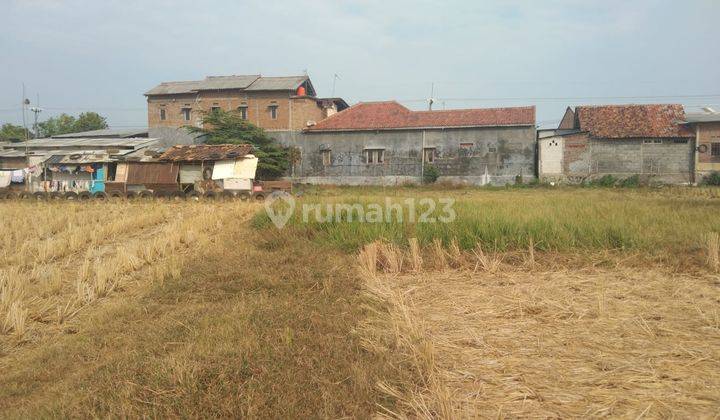 Tanah Kavling Strategis Dekat Jalan Basuki Rahmat Dan Stasiun Haurgeulis Indramayu