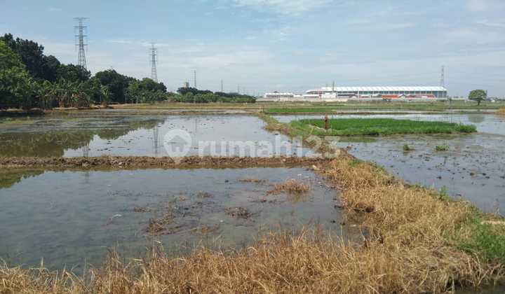 Tanah Untuk Usaha Dan Pool Kendaraan Atau Gudang Pinggir Jalan Inspeksi Kanal Tumur Jakarta Utara Tanah Untuk Usaha Dan Pool Kendaraan Atau Gudang Pinggir Jalan Inspeksi Kanal Tumur Jakarta Utara