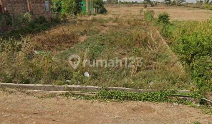 Tanah Untuk Ruang Usaha Atau Gudang Pinggir Jalan Pantura Losarang Indramayu Tanah Untuk Ruang Usaha Atau Gudang Pinggir Jalan Pantura Losarang Indramayu