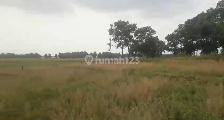 Tanah Industri Padaasih Kecamatann Cibogo dekat Fly Over Tol Subang 1