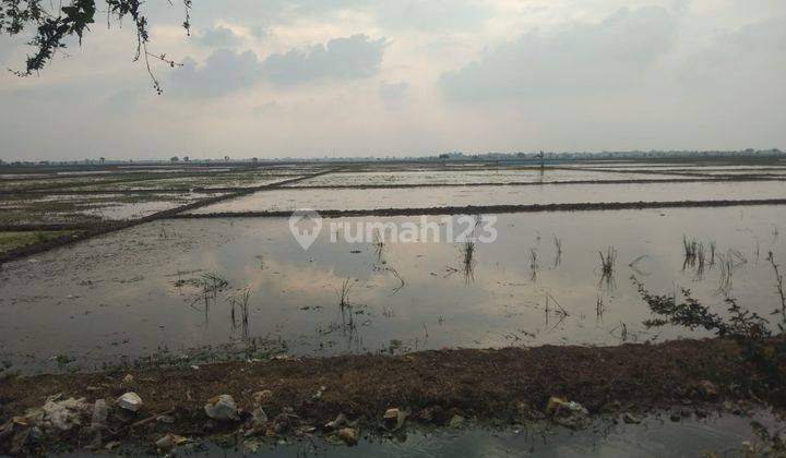 Tanah Untuk Bangun Gudang Atau Perumahan Pinggir Jalan Raya Anjatan Indramayu 1