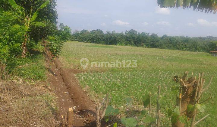 Tanah Untuk Bangun Perumahan Dekat Gerbang Tol Pinggir Kota Subang 1