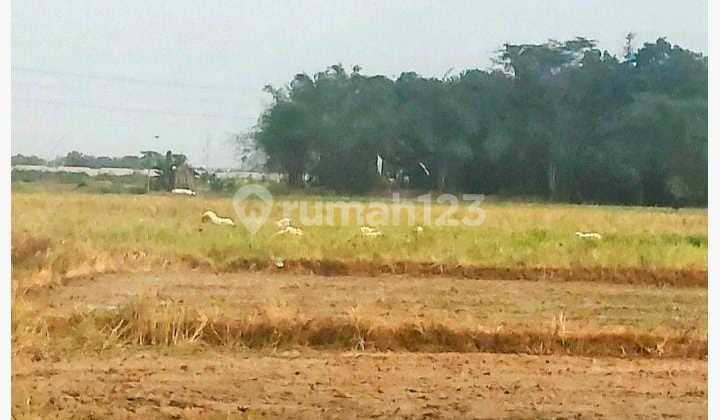 Tanah Perumahan Kecamatan Tirtamulya Strategis Dekat Kota Cikampek