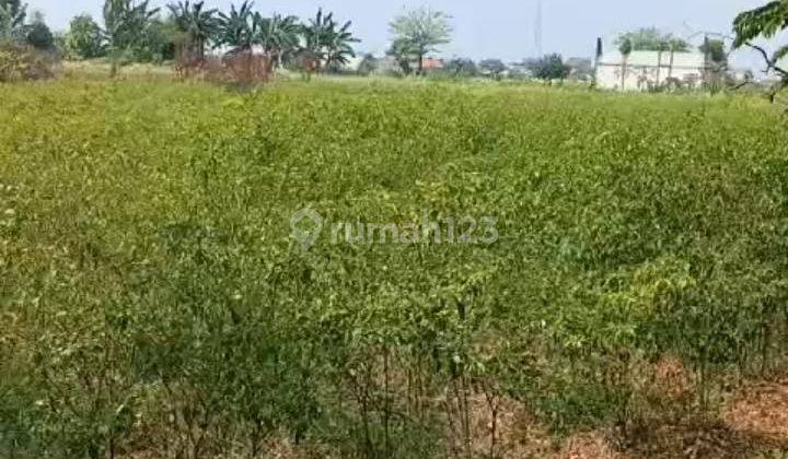 Tanah Untuk Bangun Cluster Atau Usaha Serta Gudang Pinggir Jalan Raya Dekat Gerbang Tol Gabus Tambun Utara 2