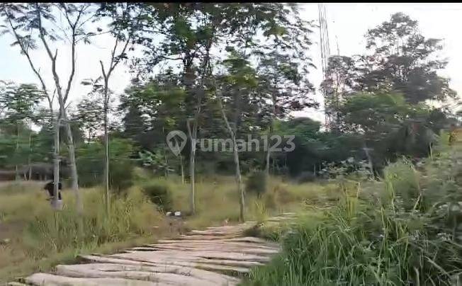 Tanah Industri Pinggir Jalan Pantura Petamanan Batang 1