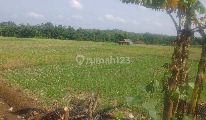 Tanah Untuk Bangun Perumahan Dekat Gerbang Tol Pinggir Kota Subang 2