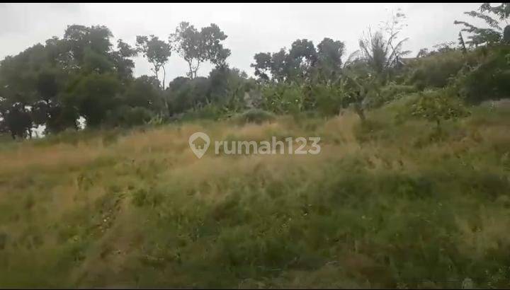 Tanah Industri Padaasih Kecamatann Cibogo dekat Fly Over Tol Subang 2