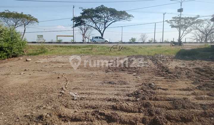 Industrial Land Beside Pantura Road, Kandanghaur, Indramayu Industrial Land Beside Pantura Road, Kandanghaur, Indramayu