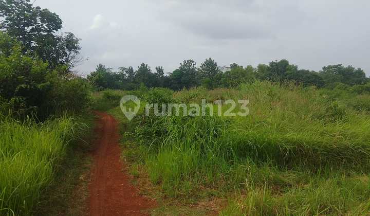 Industrial Land in Caracas Village Near Kalijati Subang Toll Gate with Gas Pipeline Access. Industrial Land in Caracas Village Near Kalijati Subang Toll Gate with Gas Pipeline Access.