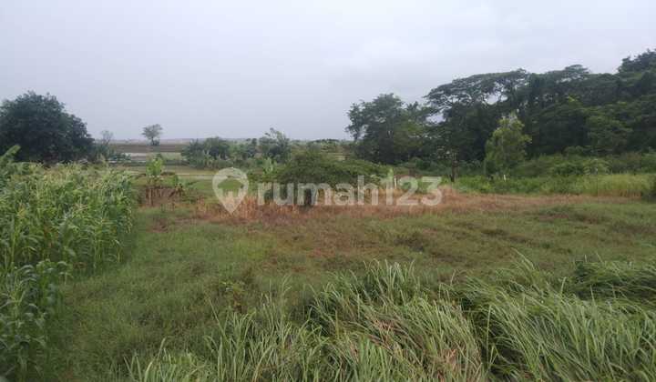 Tanah untuk Ruang Usaha dan Gudang Pinggir Jalan Syeh Quro Telagasari