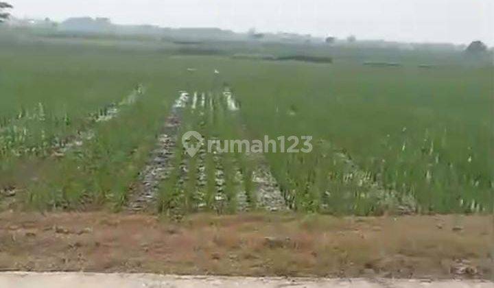 Tanah Untuk Bangun Perumahan Atau Gudang Pinggir Jalan Sarimukti Dekat Gerbang Tol Gabus 1