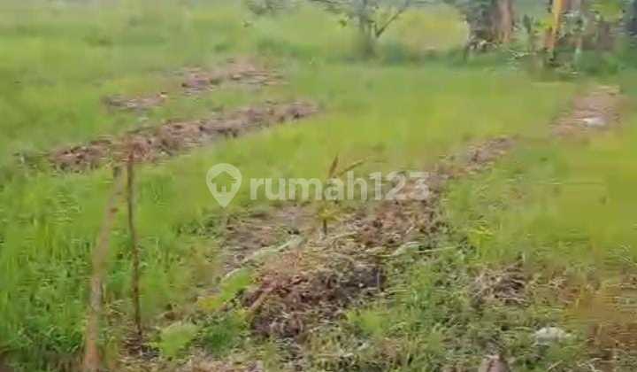 Land for Housing or Cluster near Gabus Main Road and 1 Km from North Tambun Toll Gate