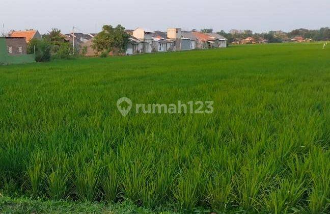 Tanah Pinggir Jalan Widasari Strategis Dan Cocok Untuk Usaha Dan Gudang 1