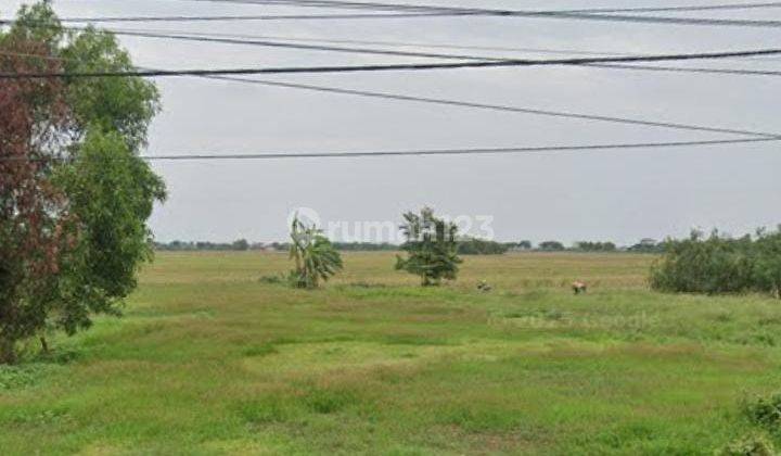 Tanah Untuk Bangun Usaha dan Gudang Pinggir Jalan Raya Pantura Lohbener Indramayu 2
