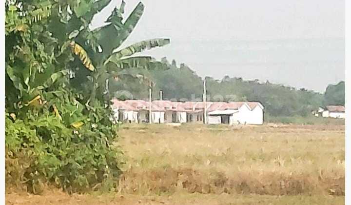 Tanah Perumahan Kecamatan Tirtamulya Strategis Dekat Kota Cikampek