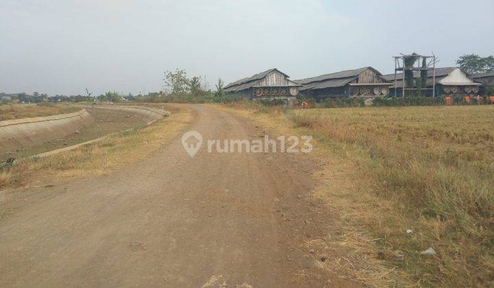 Tanah Kavling Strategis Pinggir Jalan Dekat Stasiun Haurgeulis Indramayu 2