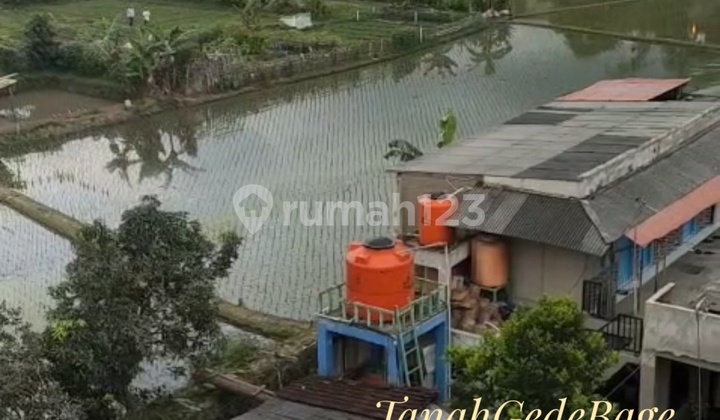 Dijual Tanah Harga Dibawah NJOP