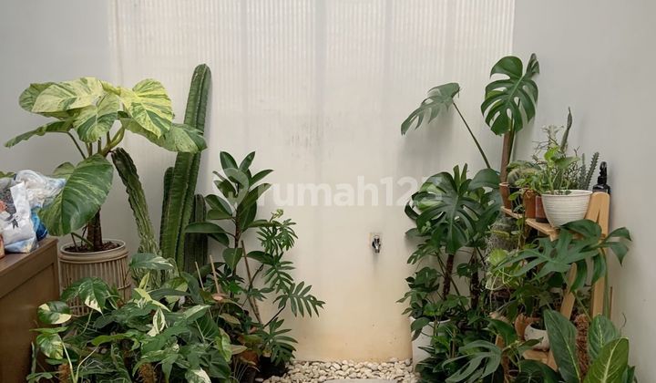 Rumah 2 Lantai Siap Huni, Sudah Renovasi Di Perum Berandamas, Bekasi 5