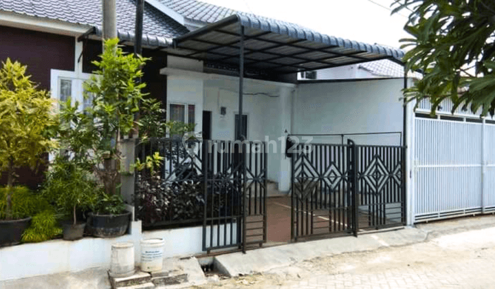 Rumah Petak Adem Daerah Kampung Lalang Jalan Gatot Subroto 1