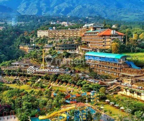 Hotel Seruni Cisarua Puncak Jl. Pirus, Cisarua Bogor 1