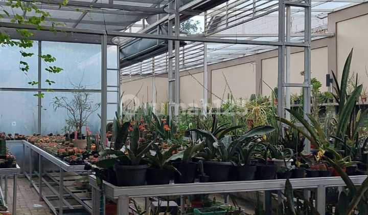 2-Storey House with SHM, 3 Sides: Right, Center, & Left, Full Width Bungsri 2