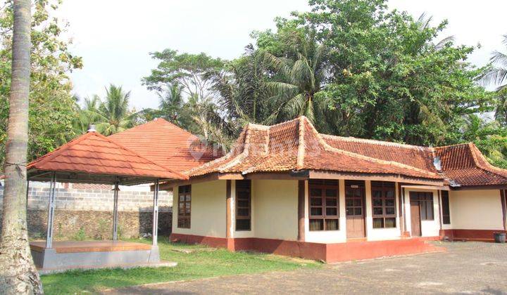 Tanah/kavling dapat bonus bangunan cottage serang, karangbolong banten  4