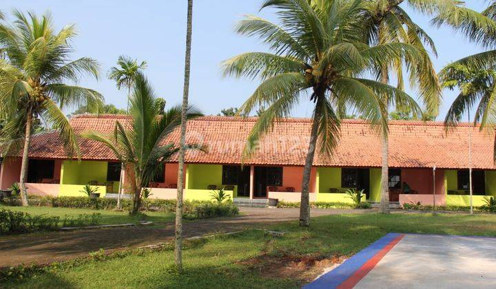 Tanah/kavling dapat bonus bangunan cottage serang, karangbolong banten  9