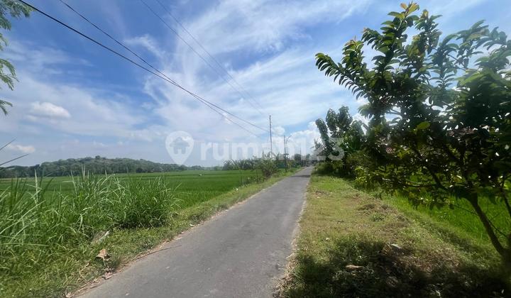 For Sale: Paddy Field Land with a Serene Environment, Suitable for Agriculture and Villa Development For Sale: Paddy Field Land with a Serene Environment, Suitable for Agriculture and Villa Development