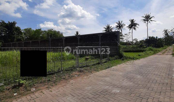 Tanah Murah Jalan Palagan Km 8 Cocok Resto Kafe Dekat Hyatt 3